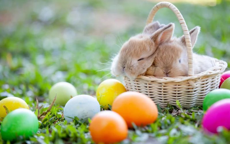 2024 Marketing Calendar - April- Easter eggs and bunny