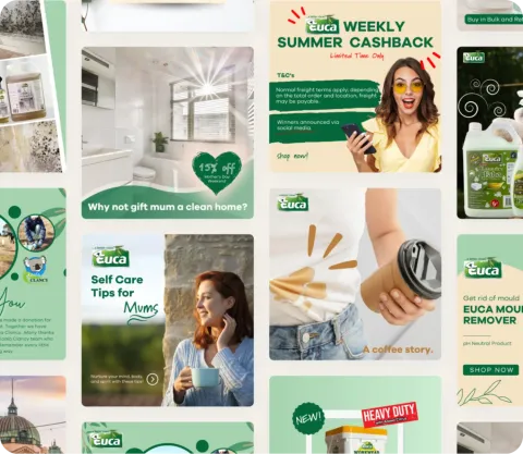 euca-bg.webp